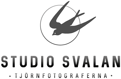 Studio Svalan